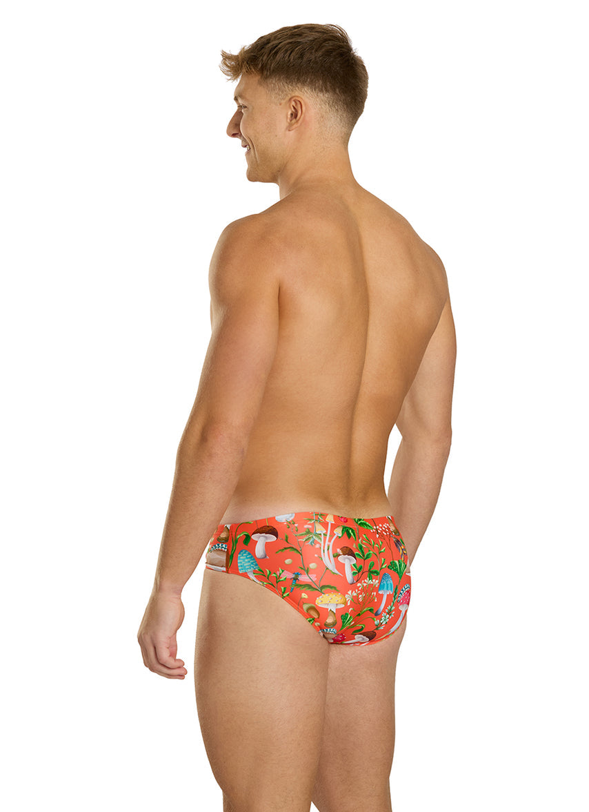 Toadstool Trails Brief Swimsuit (26-40)