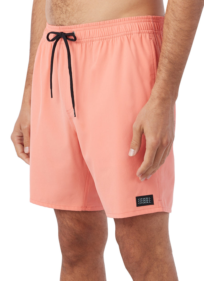 Men's 17" Lennox Hermosa Solid Swim Trunks