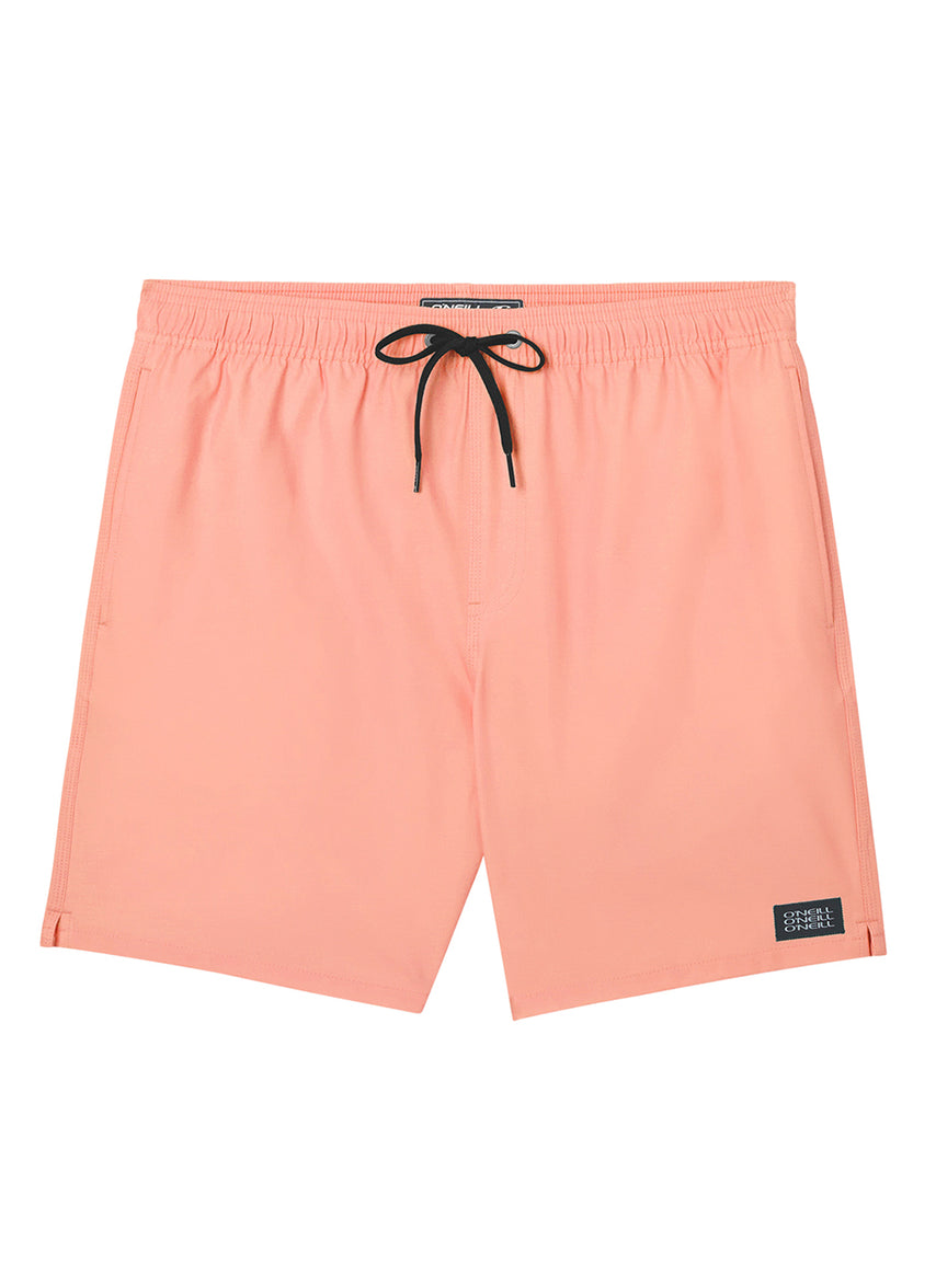 Men's 17" Lennox Hermosa Solid Swim Trunks