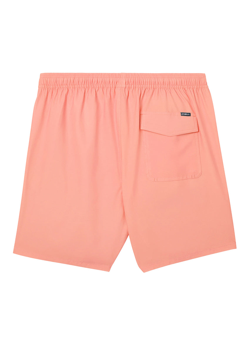 Men's 17" Lennox Hermosa Solid Swim Trunks