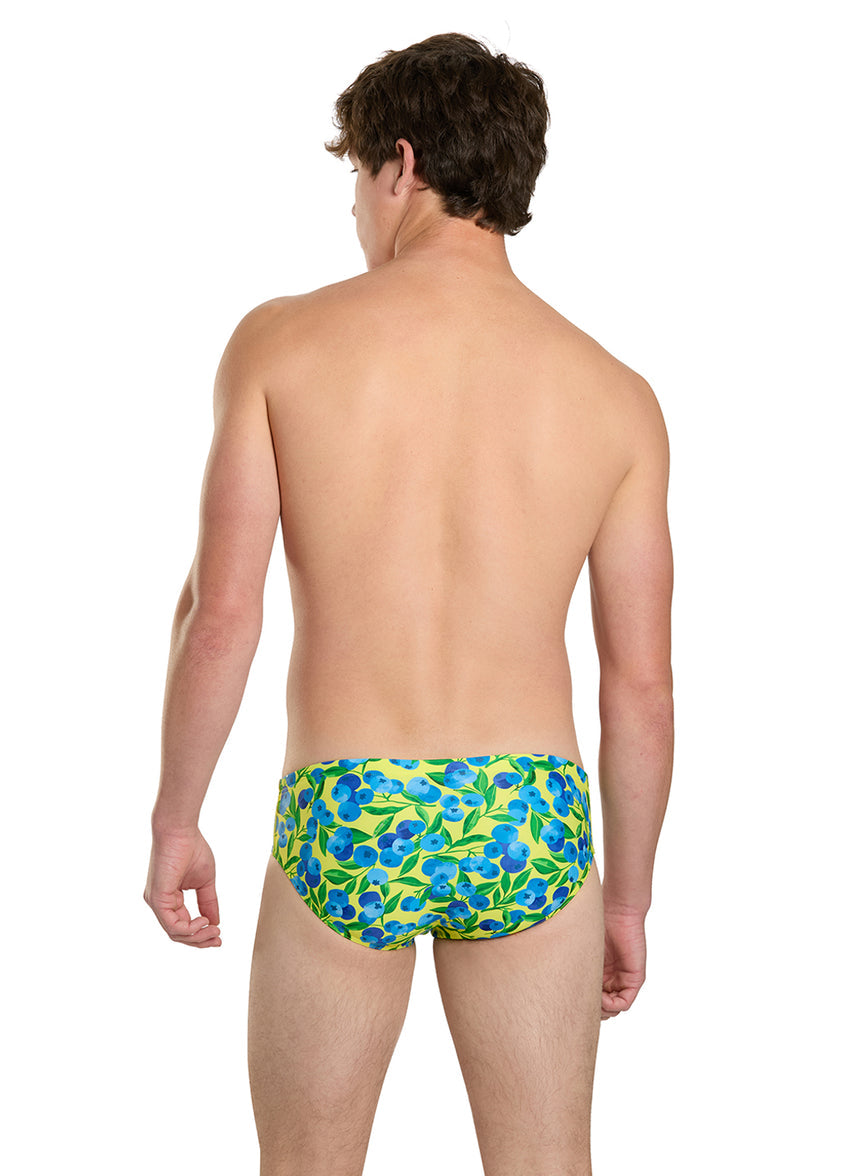 Blueberry Breeze Brief Swimsuit (26-40)