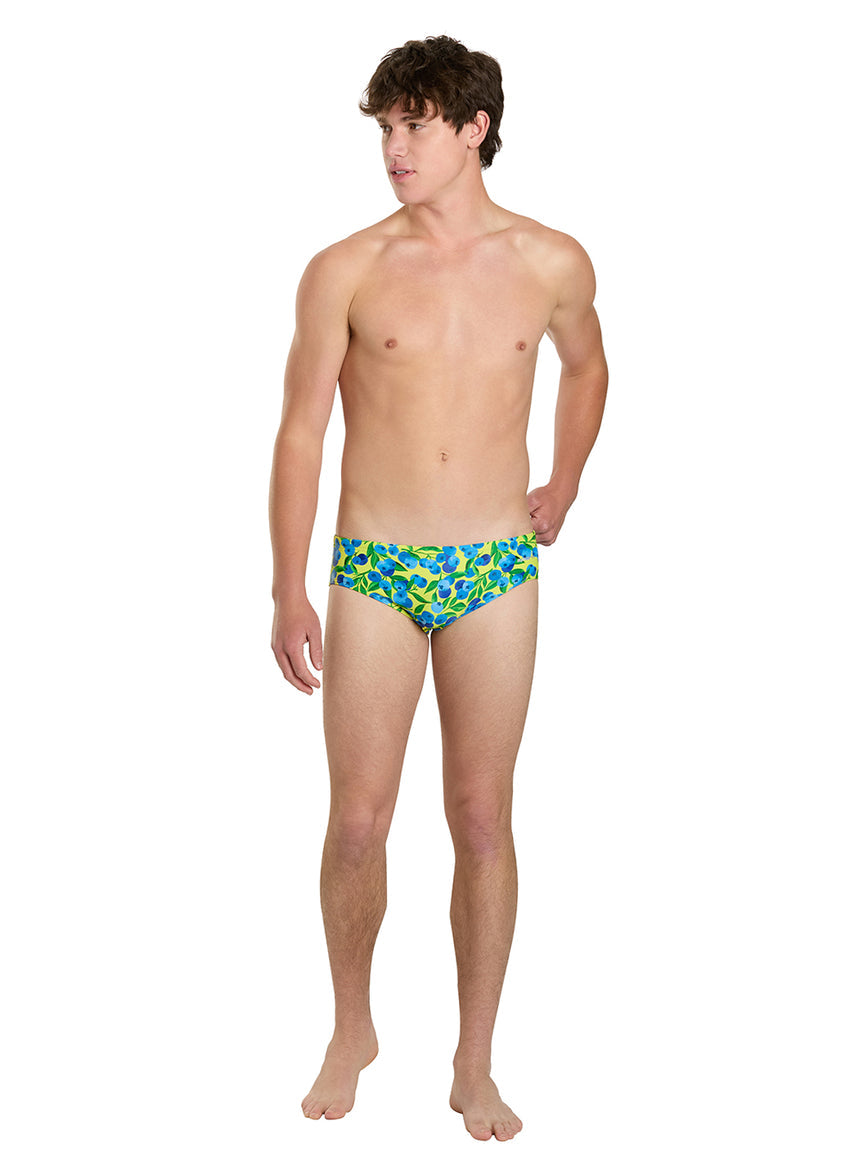 Blueberry Breeze Brief Swimsuit (26-40)