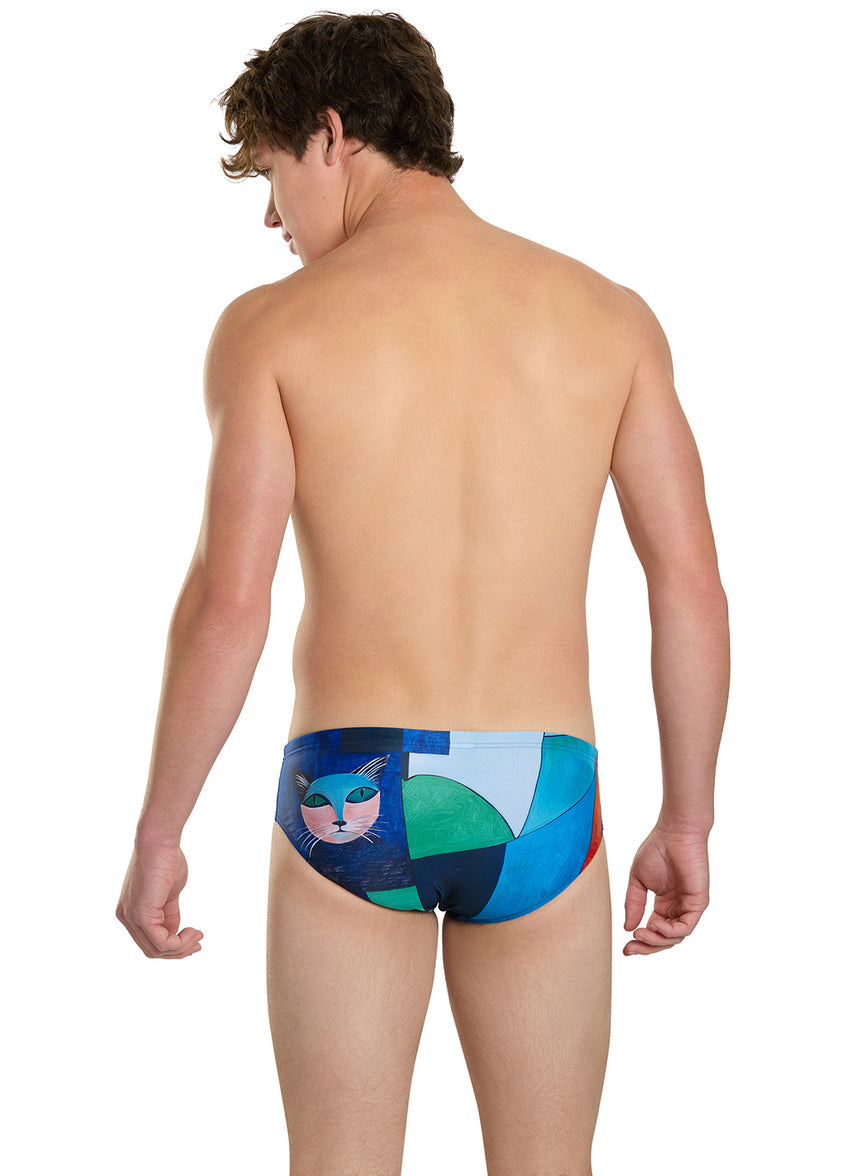 Mirror Reflection Brief Swimsuit (26-40)